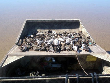 Duck Hunting In Mexico