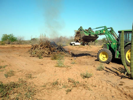 Creating a dove hunting park!