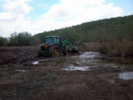 Creating a dove hunting park!