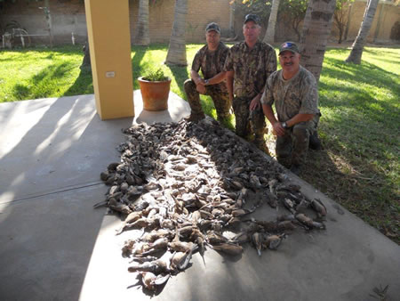 Creating a dove hunting park!