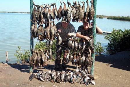 A Nice Morning's hunt