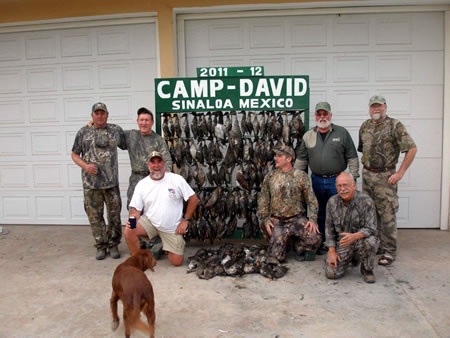 What a duck shoot today!