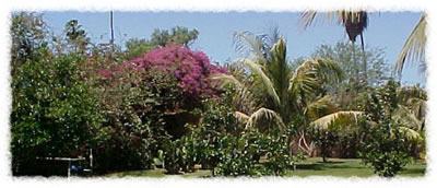 Relax in the quiet privacy of our lodge
