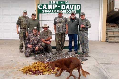 A Nice Morning's hunt