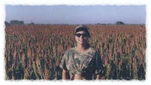 Planted in sunflowers and sorghum, these fields are a perfect habitat for dove.