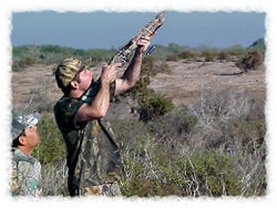 Taking aim!