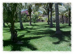 The front yard of the Lodge