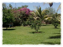 Back yard of the Lodge